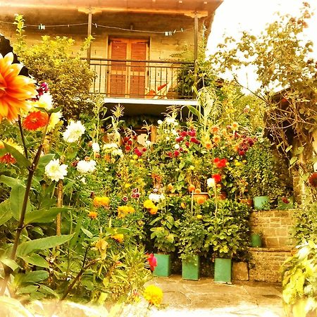 Guesthouse Gouris เซเปโลโว ภายนอก รูปภาพ