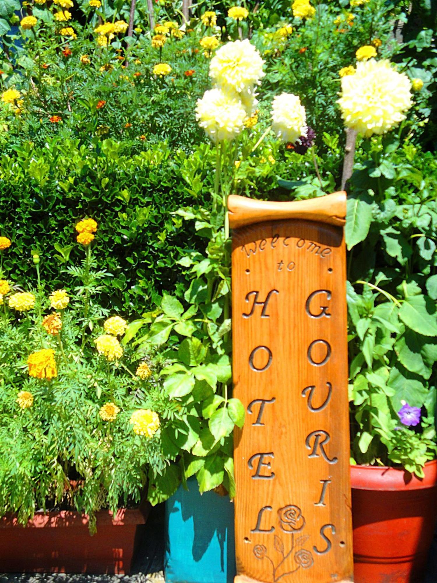 Guesthouse Gouris เซเปโลโว ภายนอก รูปภาพ