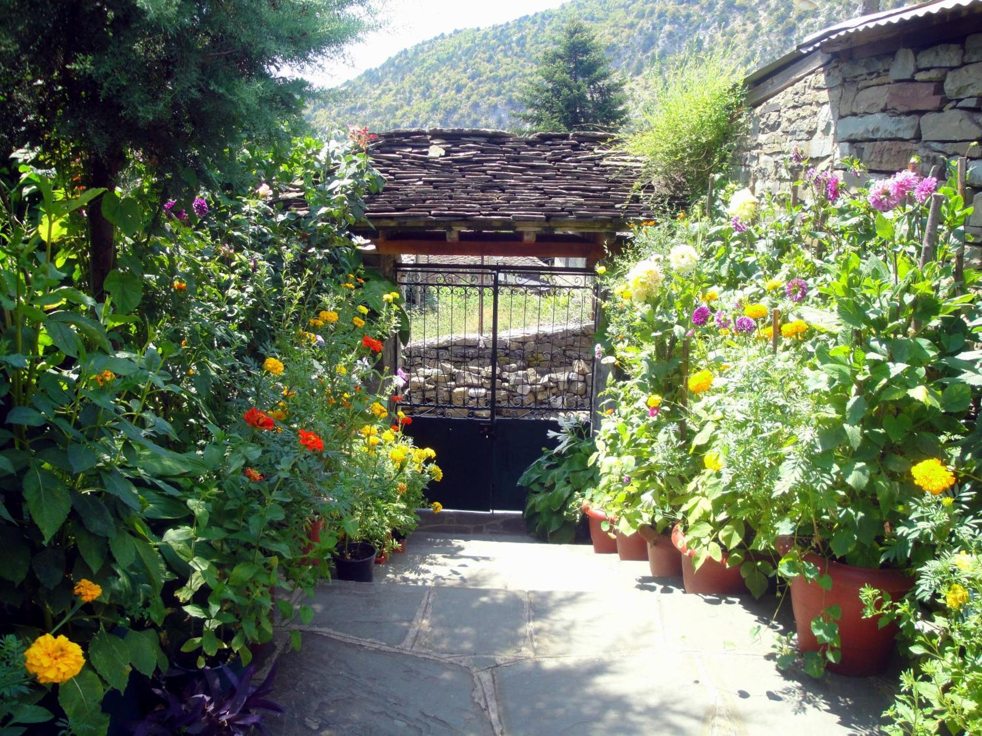 Guesthouse Gouris เซเปโลโว ภายนอก รูปภาพ