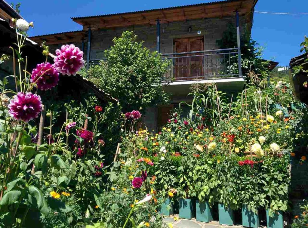 Guesthouse Gouris เซเปโลโว ภายนอก รูปภาพ