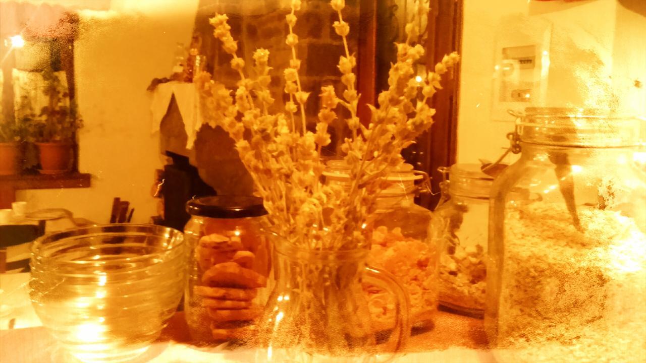 Guesthouse Gouris เซเปโลโว ภายนอก รูปภาพ
