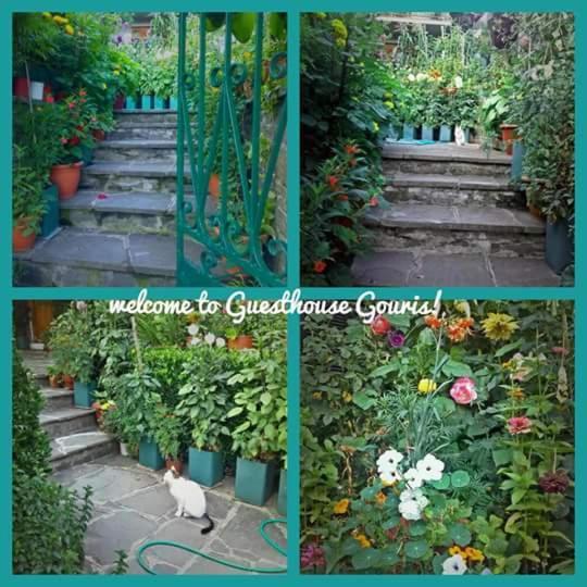 Guesthouse Gouris เซเปโลโว ภายนอก รูปภาพ