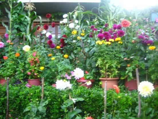 Guesthouse Gouris เซเปโลโว ภายนอก รูปภาพ